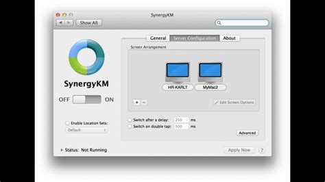 Synergy mac download